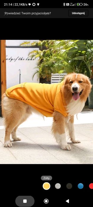 Bluza dla średniego psa 3XL