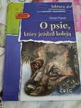 O psie, który jeździł koleją Roman Pisarski
