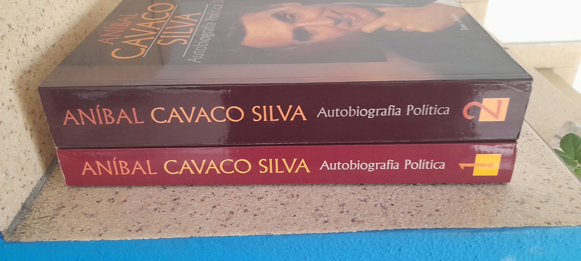 Cavaco Silva 2 volumes