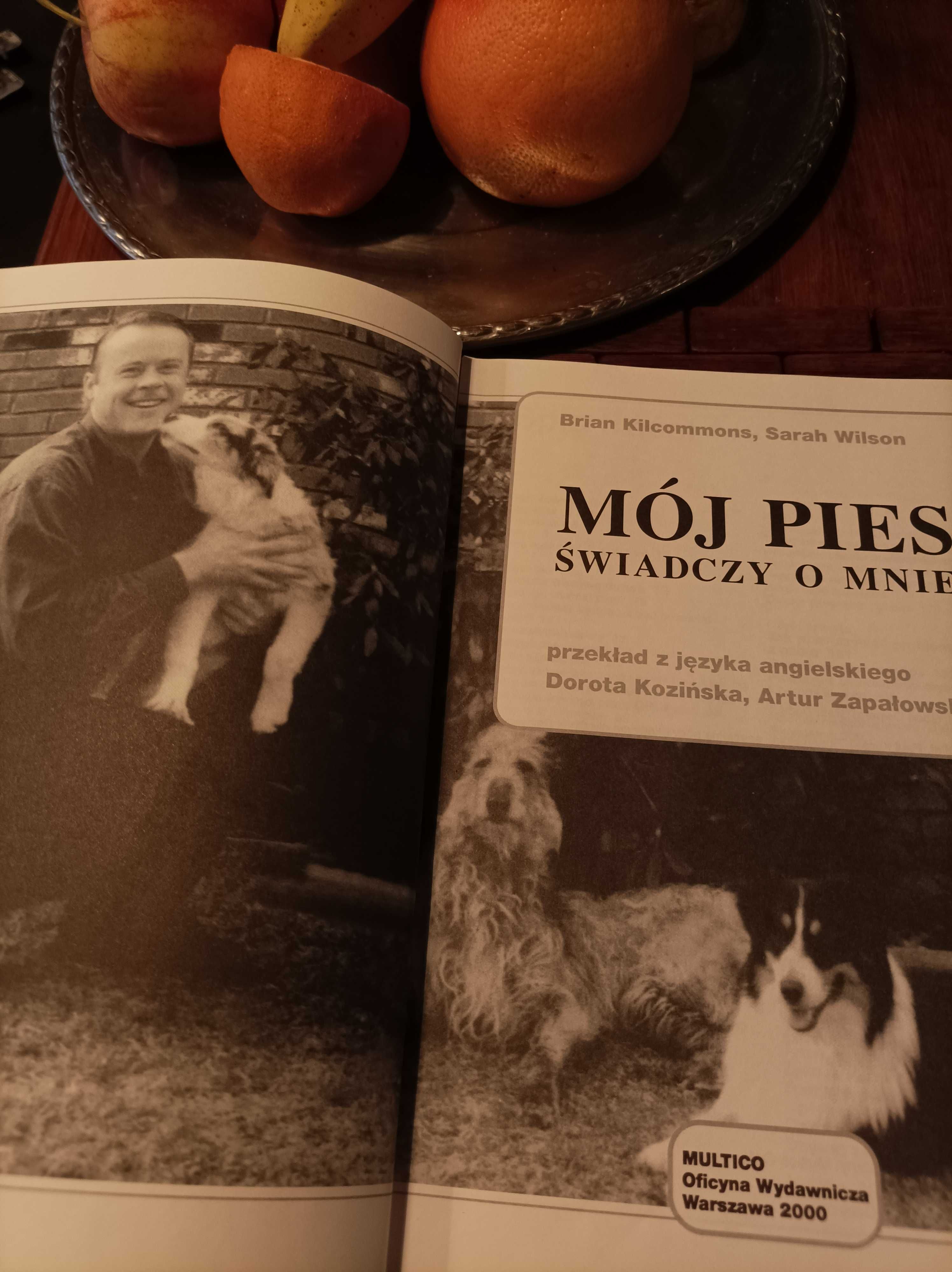 Kilcommons, Wilson mój pies świadczy o mnie