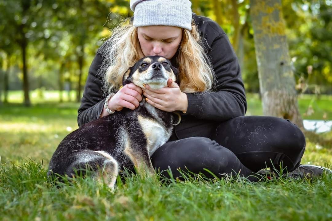 Malutka, nieśmiała sunia tak pięknie prosi o pokochanie.