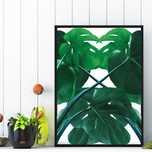 monstera plakat do pokoju, obraz monstera, plakat, kwiat monstera