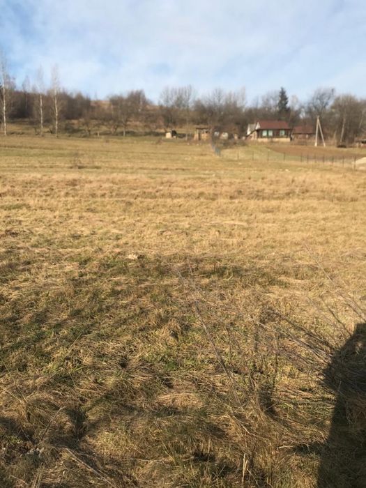 Продам землю в Карпатах