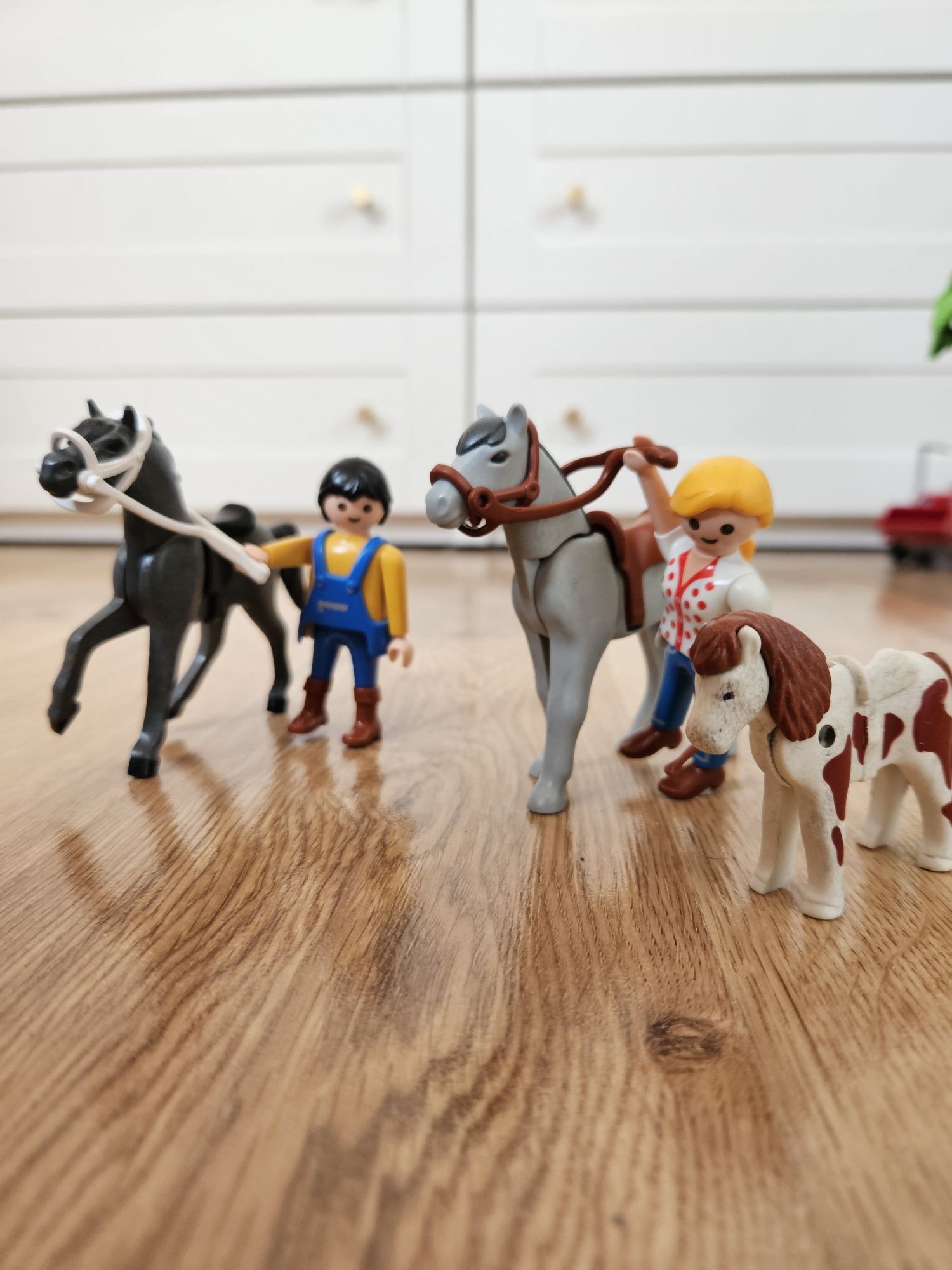 Playmobil farma, gospodarstwo