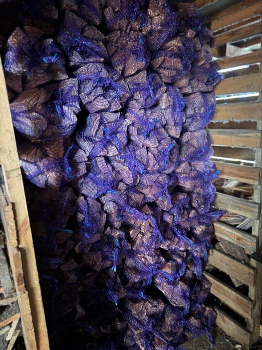 Дрова ( Дубові )