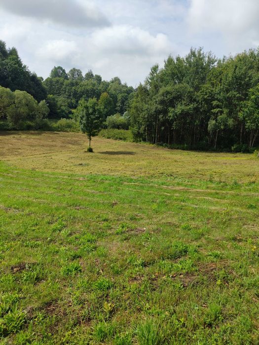 Działka 33 ary - Orzechówka