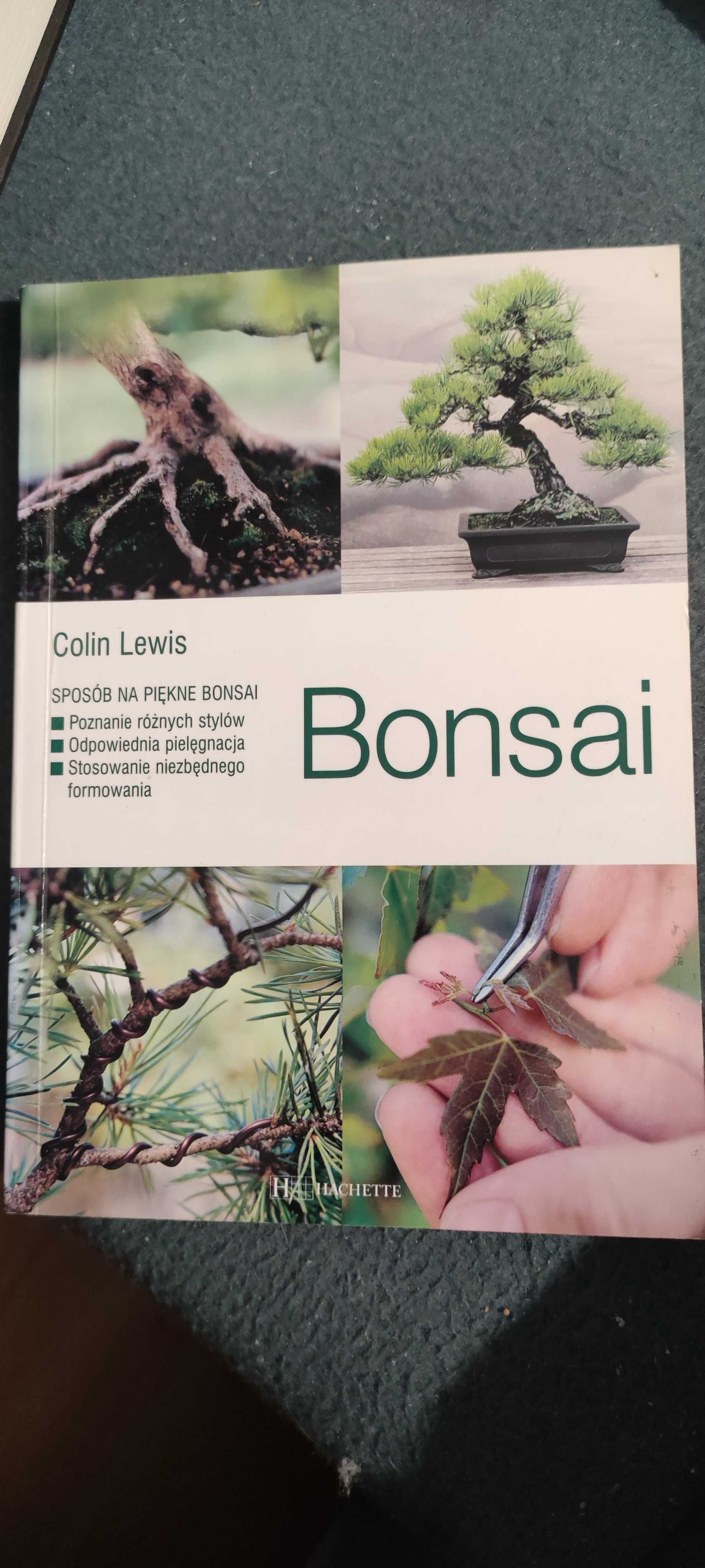 Bonsai Colin Lewis, Bonzai z naszych drzew Wolfgang Kohlhepp