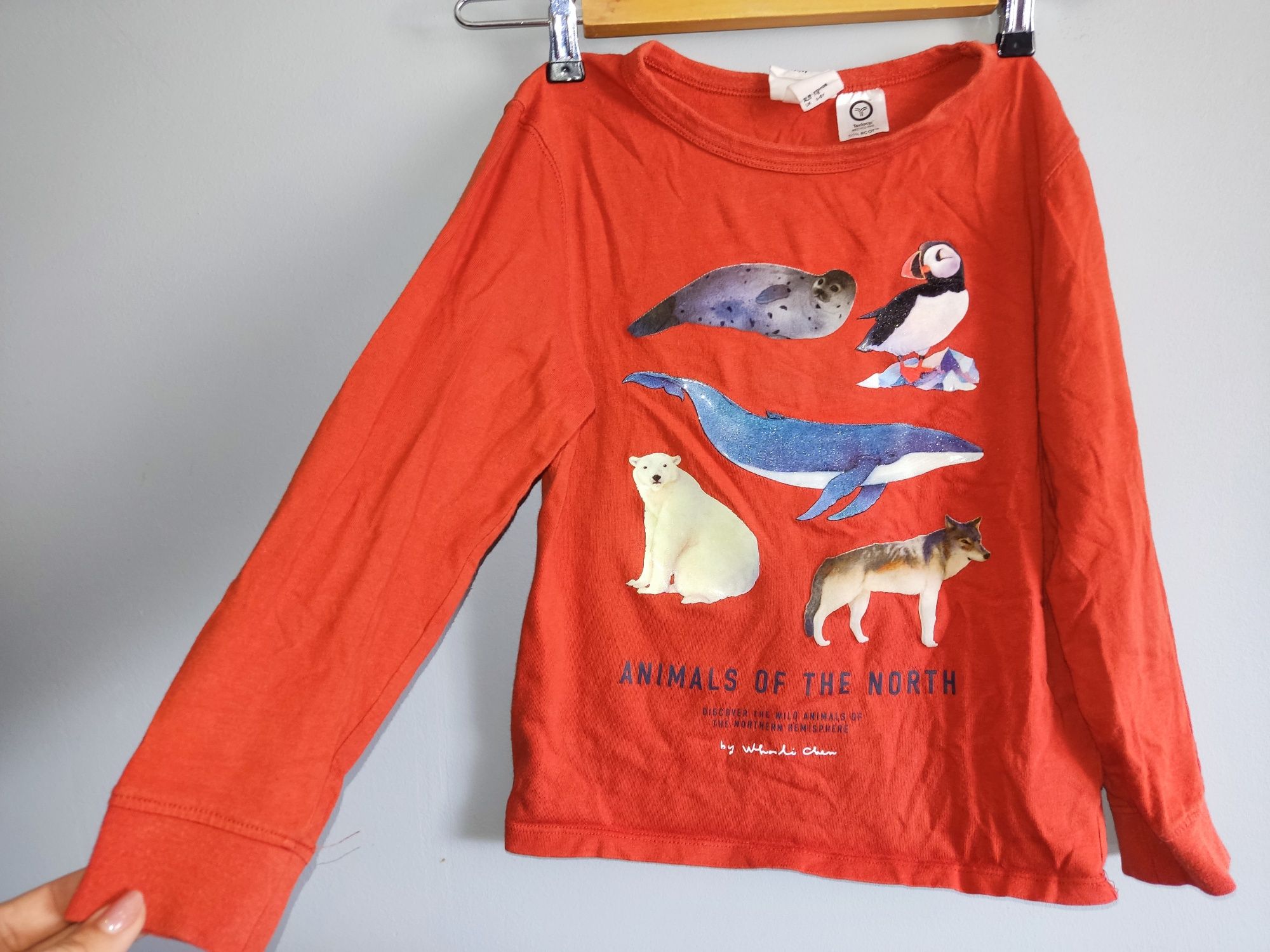 H&m bluzka z długim rękawem ze zwierzątkami r.122/128i