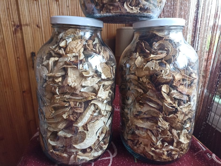 Гриби БІЛІ ціленькі мариновані та сушені