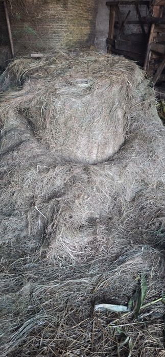 Sprzedam bele siana rozmiar 130