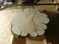 Plaster drewna bukowego
