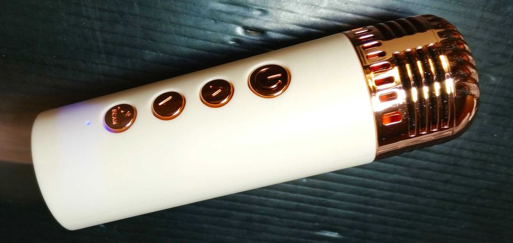 Wireless Karaoke Speaker + Microphone64309887272451123