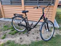 Rower damski CYCO