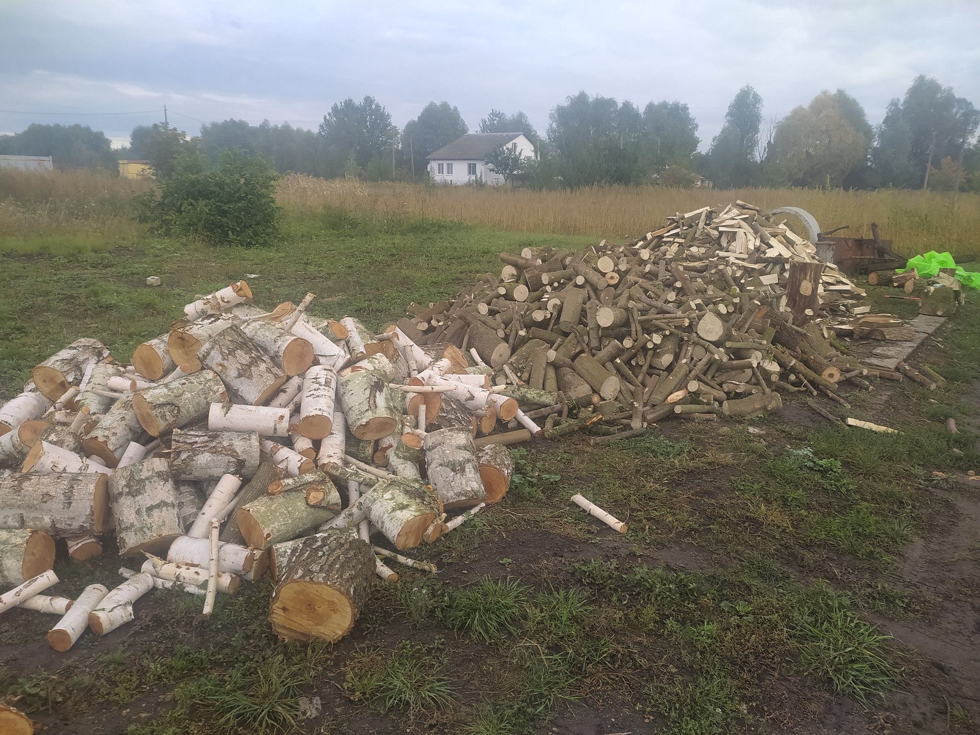 Продам дрова різних порід