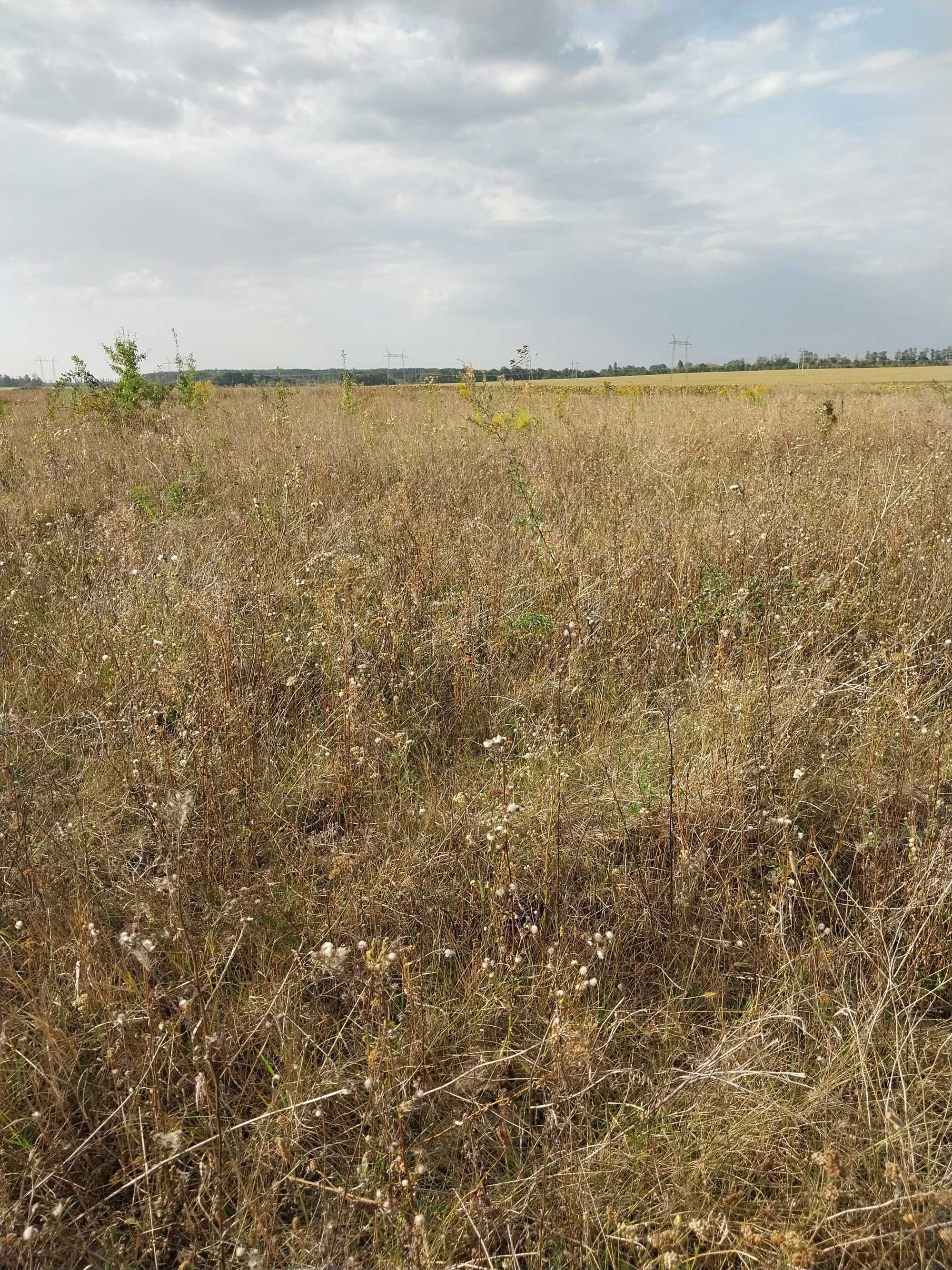 Продам земельну ділянку в  с. Горбанівка