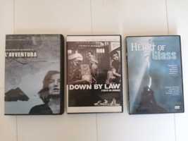 DVD Jarmusch, Herzog. Amerykańskie wydania.