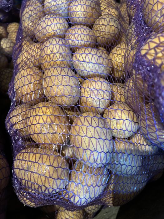 Продається домашня смачна картопля, сорт “Melody”, всередині жовта.