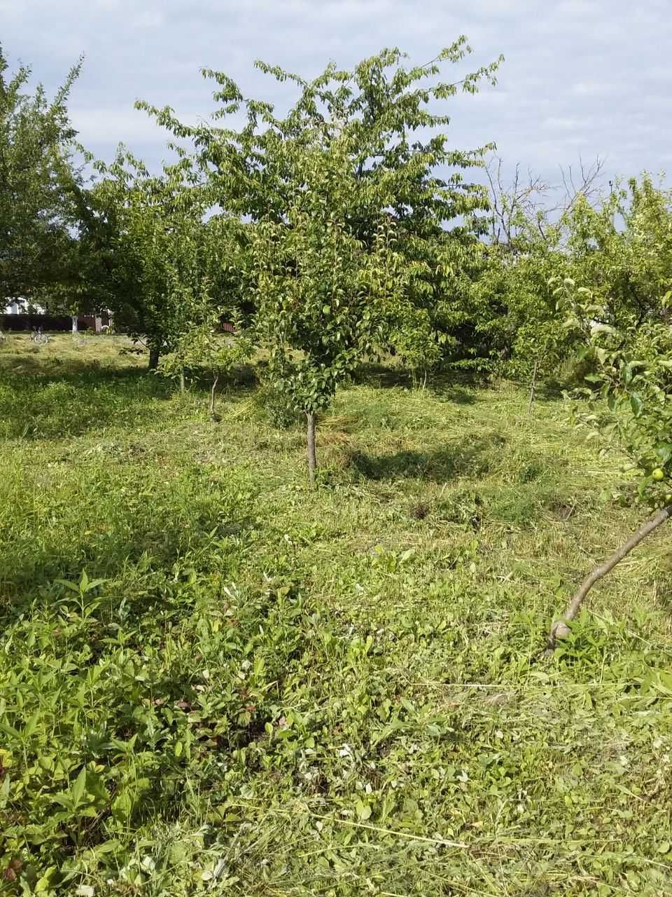 Земельна ділянка