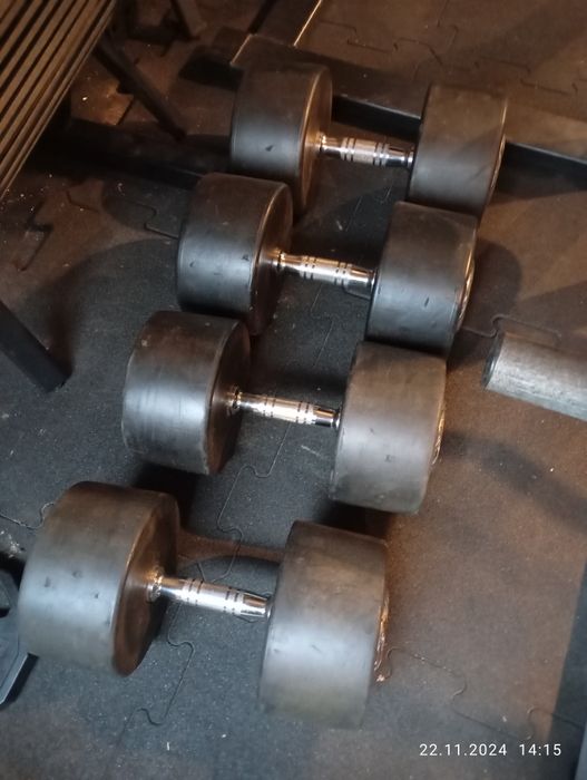 Hantle 40kg 45kg 50kg Bauer fitness