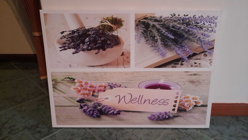 Mesa, quadros, espelho, defumador em bom estado.