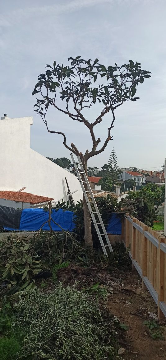 Limpeza de pequenos espaços, construção de hortas e manutenções