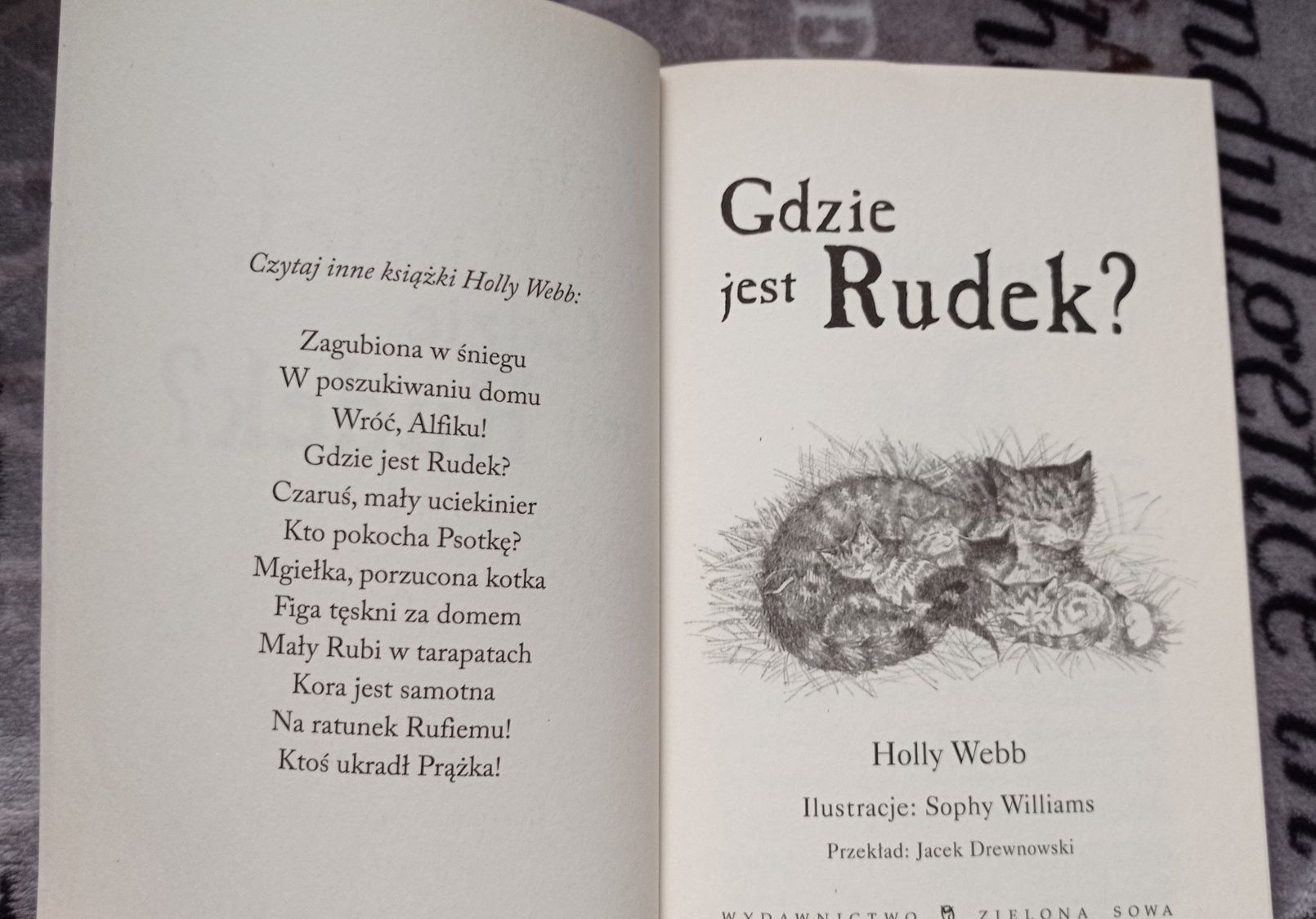 Zaopiekuj się mną Holly Webb - Gdzie jest Rudek? - kotek