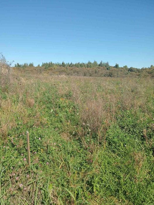 Продаж земельної ділянки, ОСГ, Сокільники