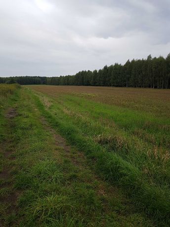 Działka budowlana 1000m z gruntem rolnym 5900m, Kruszyniec-150 tys.zł