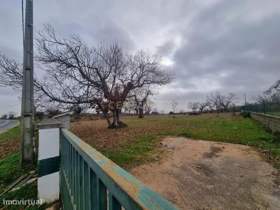 Terreno 1 hectare em Parada, Bragança - Perto de Acessos e Serviços