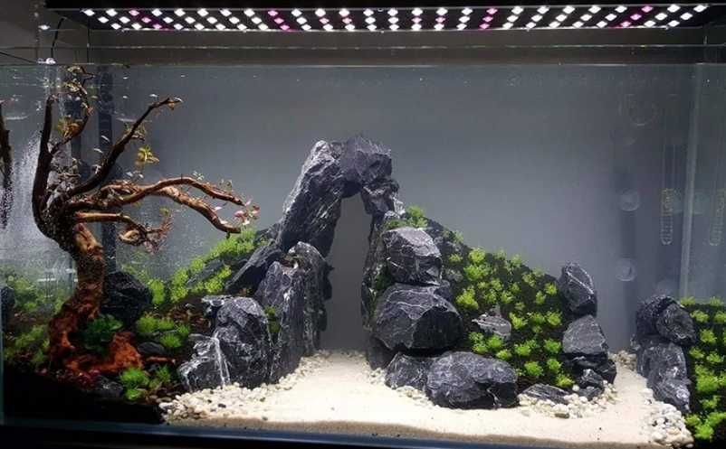Czarny Kamień Akwarium Skała Black Grey Stone Malawi Tanganika Łupek