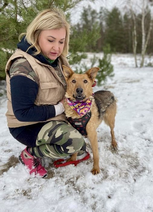 Vigo - znaleziony ze sznurkiem od snopowiązałki na szyi do adopcji