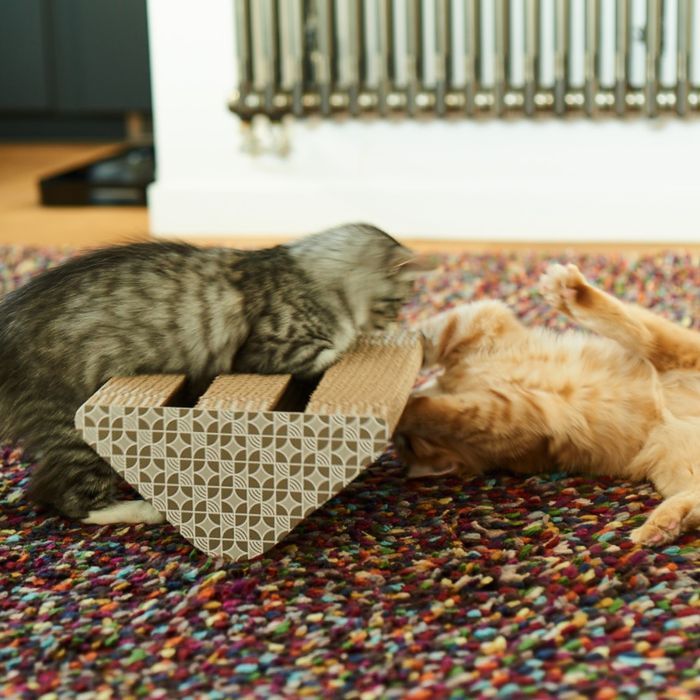 Drapak dla Kota Kartonowy Zabawka Piłka 27.3x17.5x17.5 Trójkąt