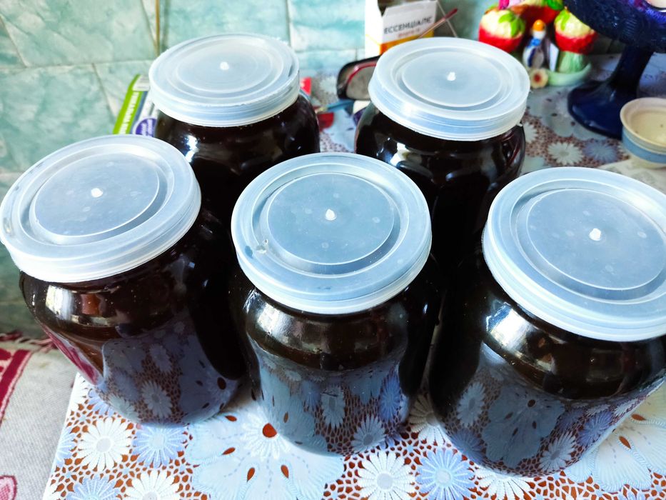 Гречаний мед - чудо природи