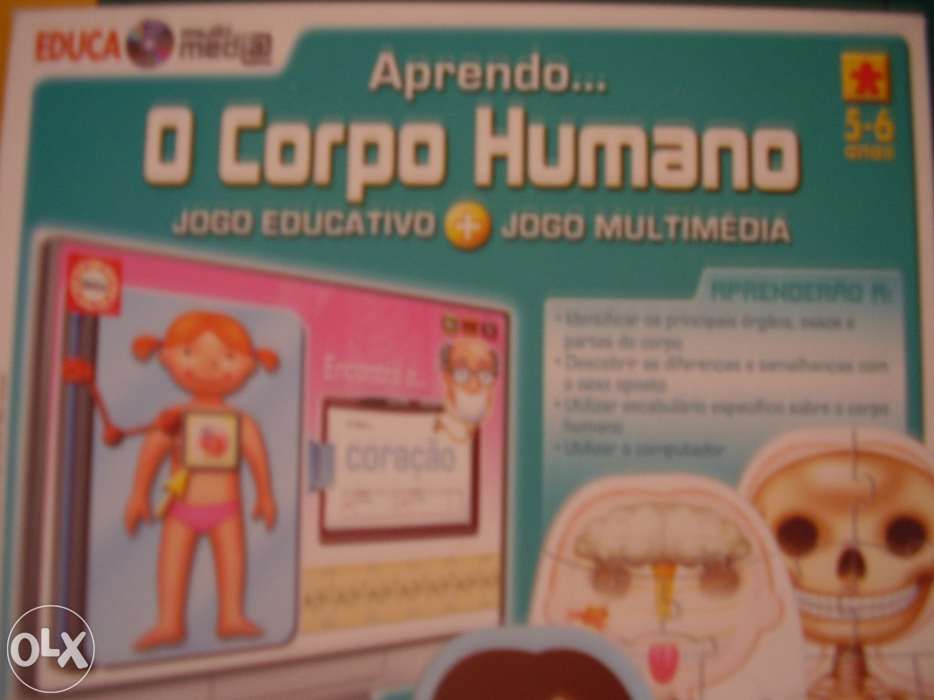 Jogo Puzzle o Corpo Humano