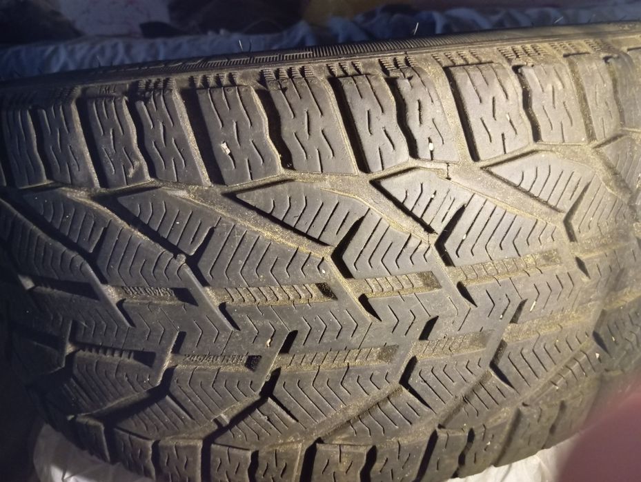 Зимова ризина.Вживана.