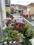 vendo conjunto de 21 plantas artificiais