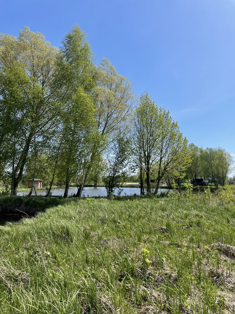 Білорогодка Корчі продаж ділянки з виходом до свого озерця