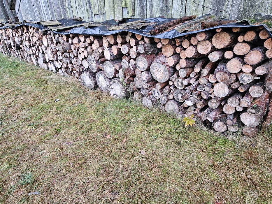 Drzewo opałowe sosna sucha