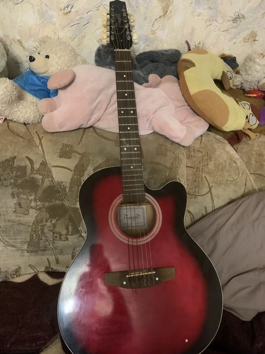 12 струнная гитара Trembita