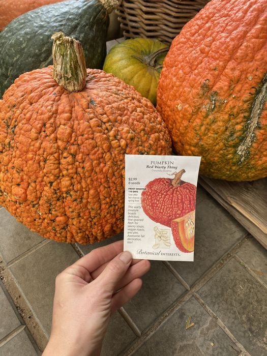 Семена тыкв гарбузів Baby Boo, Tiger Stripes, Sweet Dumpling, Тюрбан