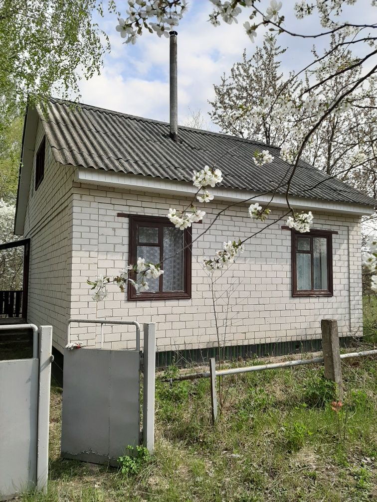 Дачний будинок біля с.Радьківка