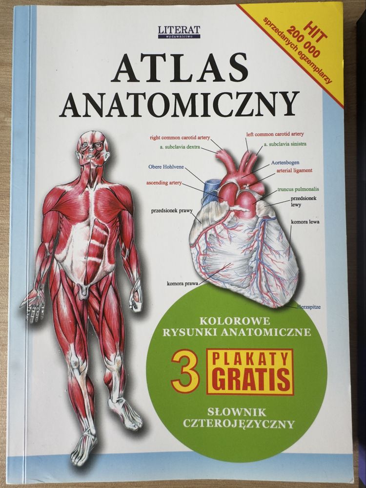 Atlas anatomiczny , Masaż klasyczny, tom 1 – Adam Zborowski