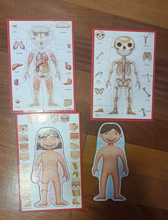 4 Puzzles educativos Corpo Humano