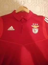 Polo do Benfica novo