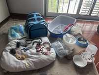 Kit COMPLETO para gato