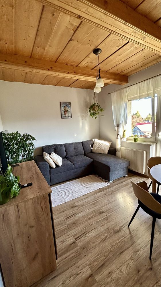 Apartament z JACUZZI - balią | Babia Góra, góry, noclegi, wakacje, dom