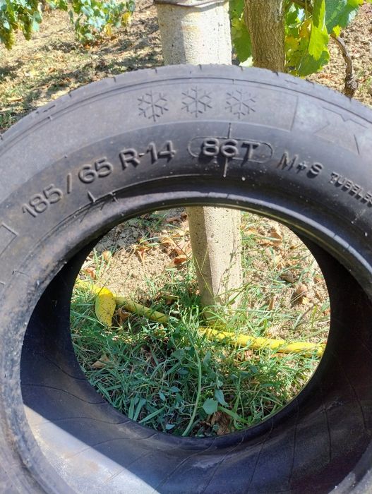 Дві шини Michelin 185/65/14
