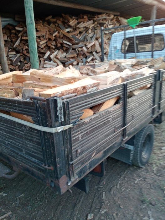 Carga lenha carvalho eucalipto pinheiro