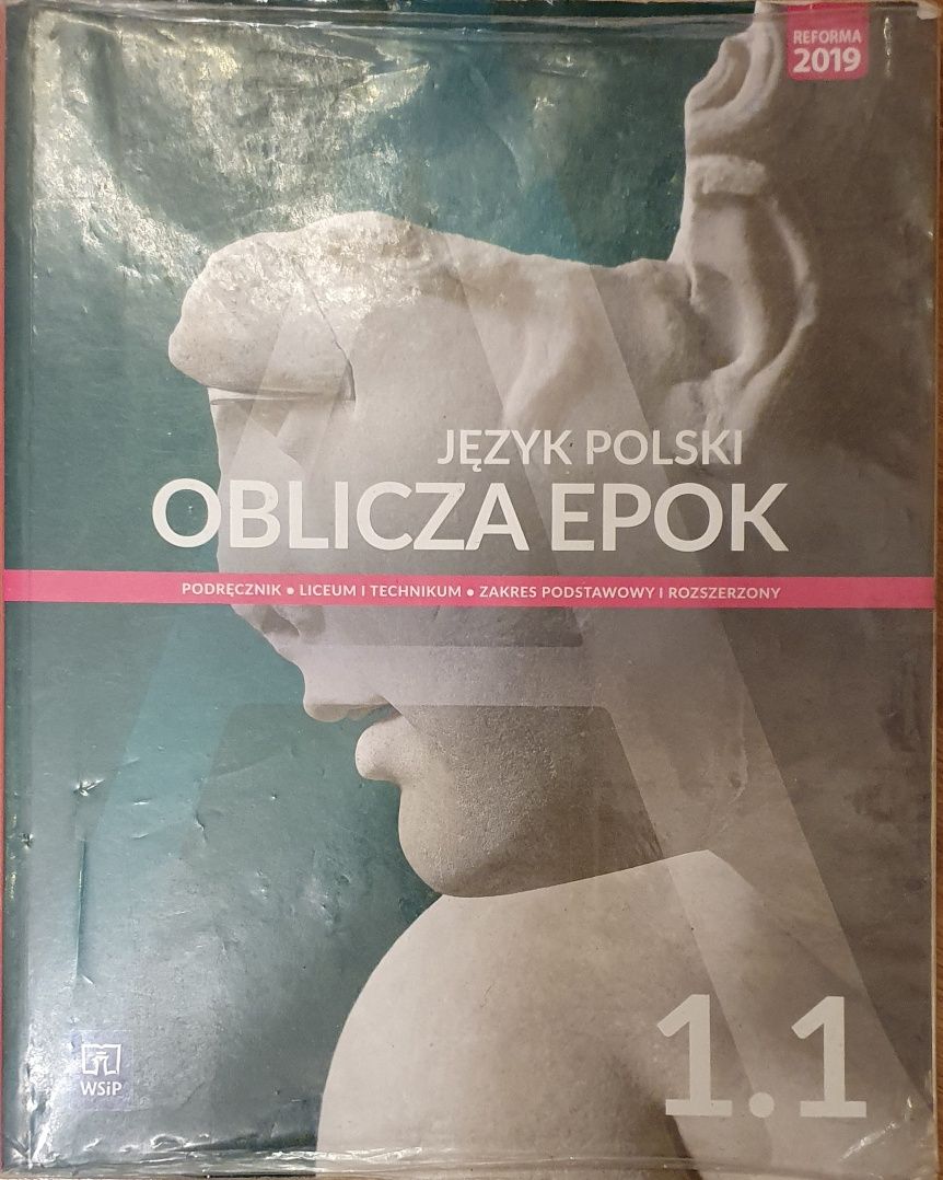 Język Polski Oblicza epok 1.1