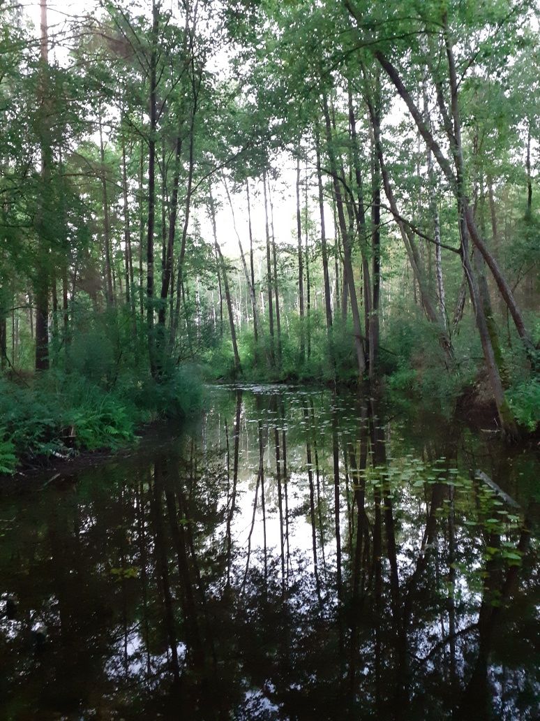 Domek letniskowy nad jęziorem